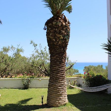 Panorama Studios & Apartments Амуді Екстер'єр фото
